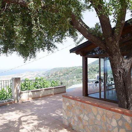 B&B Le Rose Del Tirreno Falerna Zewnętrze zdjęcie