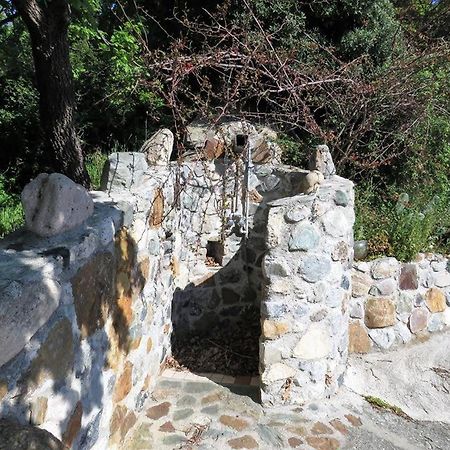 B&B Le Rose Del Tirreno Falerna Zewnętrze zdjęcie