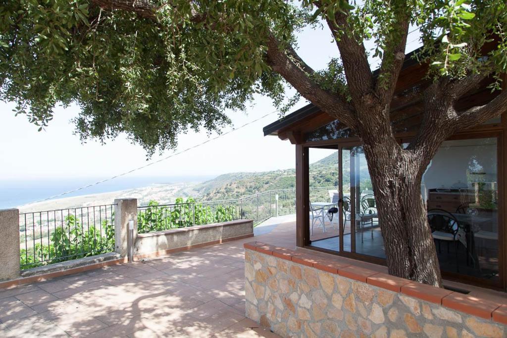 B&B Le Rose Del Tirreno Falerna Zewnętrze zdjęcie