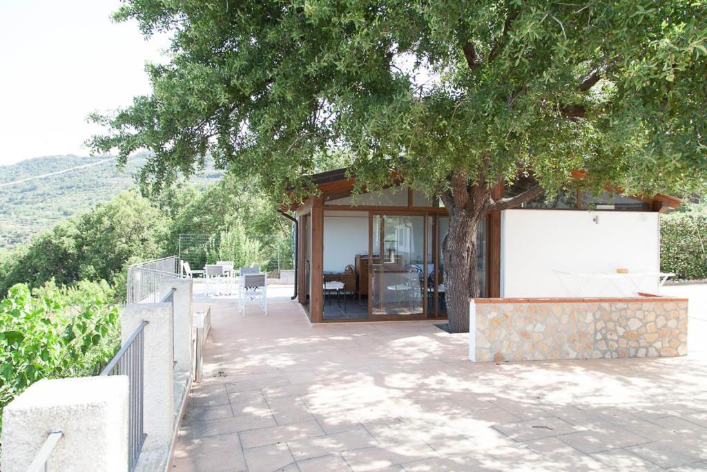 B&B Le Rose Del Tirreno Falerna Zewnętrze zdjęcie